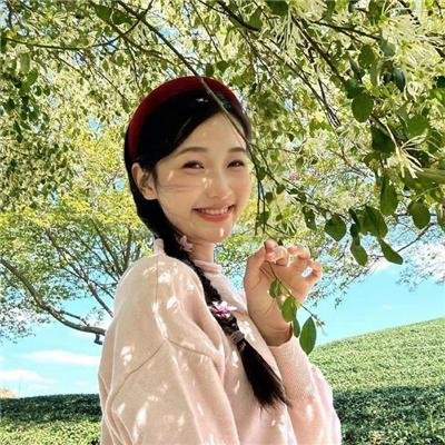 八角笼